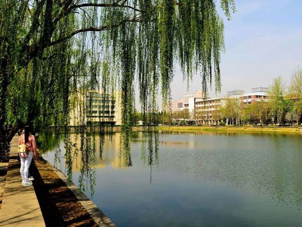 长春中医药大学函授高起专报名方法